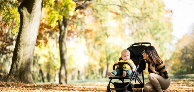 Stroller Rentals